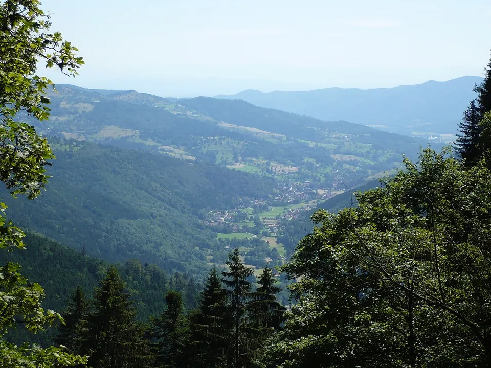 Elsass: Blick aufs Vallée de Munster (Münstertal), Elsass, Frankreich