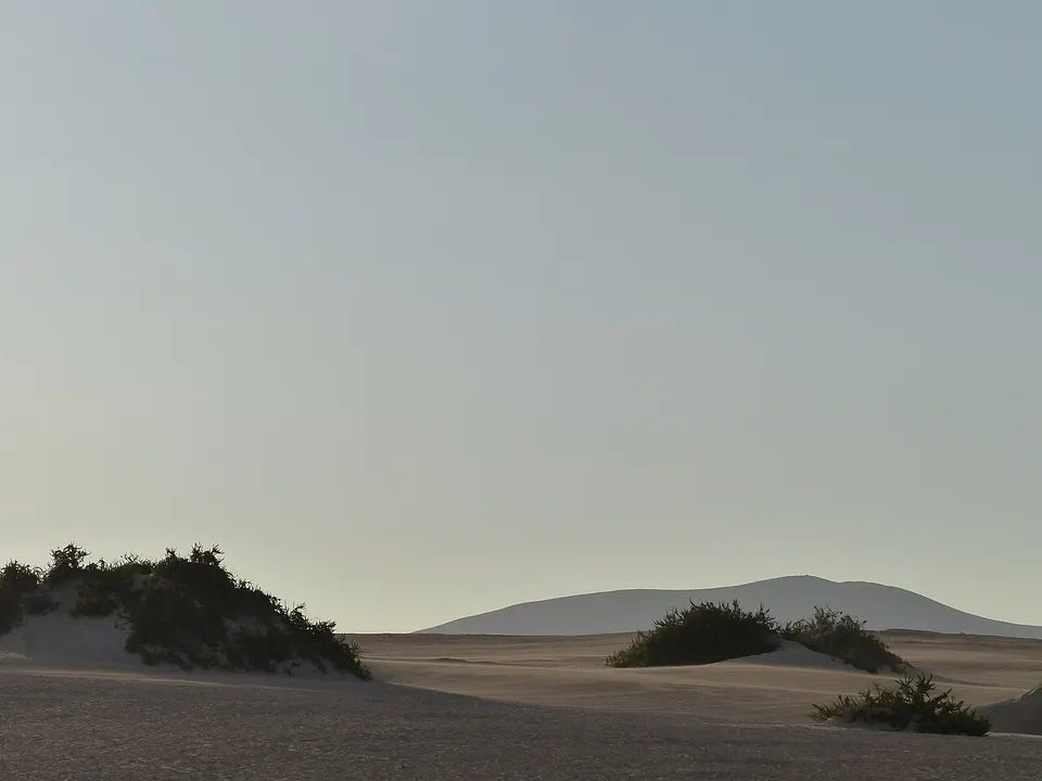 Weite helle Sanddünen im Naturpark Dunas de Corralejo auf Fuerteventura mit dem Meer am Horizont