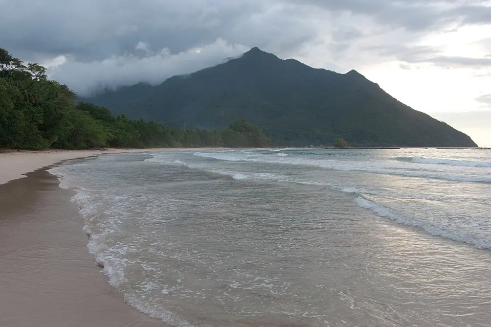 Palawan: Palawan itself is the sixth largest of the Philippine Islands. The climate of the ecoregion is tropical wet.
